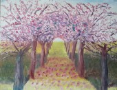 Cherry orchard in spring oil painting by Navdeep Kular